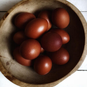 French Black Copper Marans Fertile Hatching Eggs