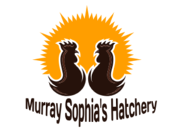 MURRAY SOPHIA HATCHERY